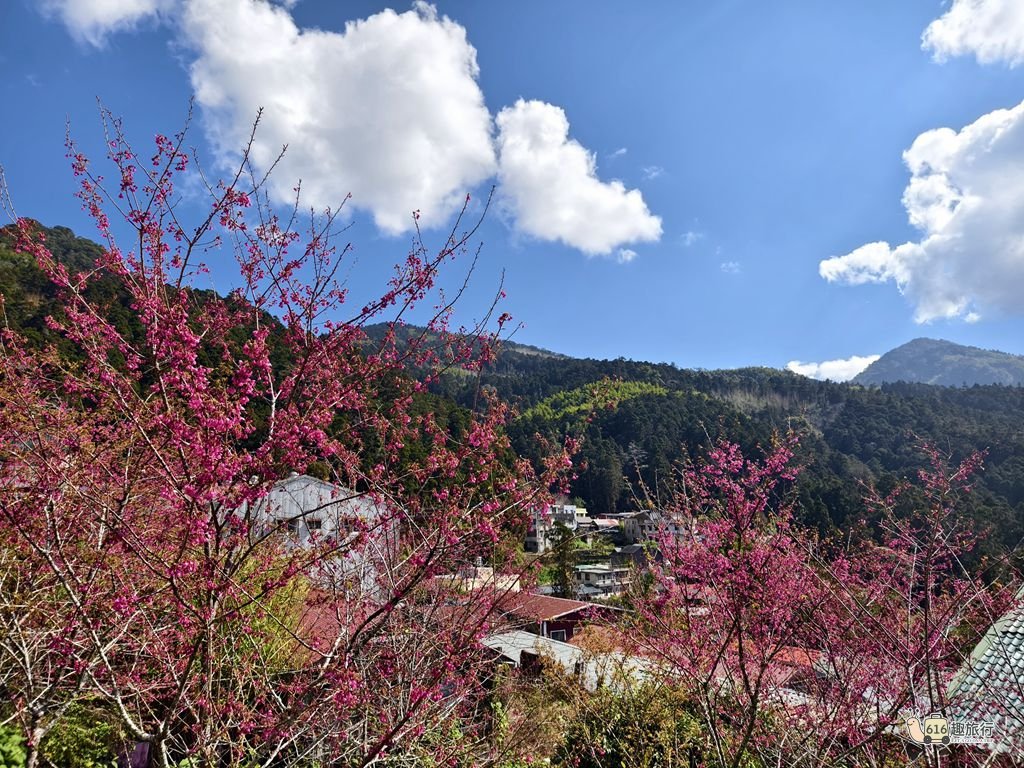🏡 奮起湖包棟-揚揚民宿 - 房型照片