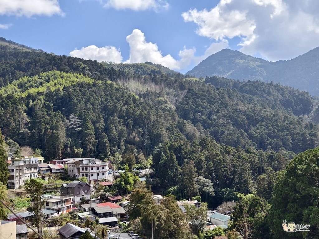 🏡 奮起湖包棟-揚揚民宿 - 房型照片